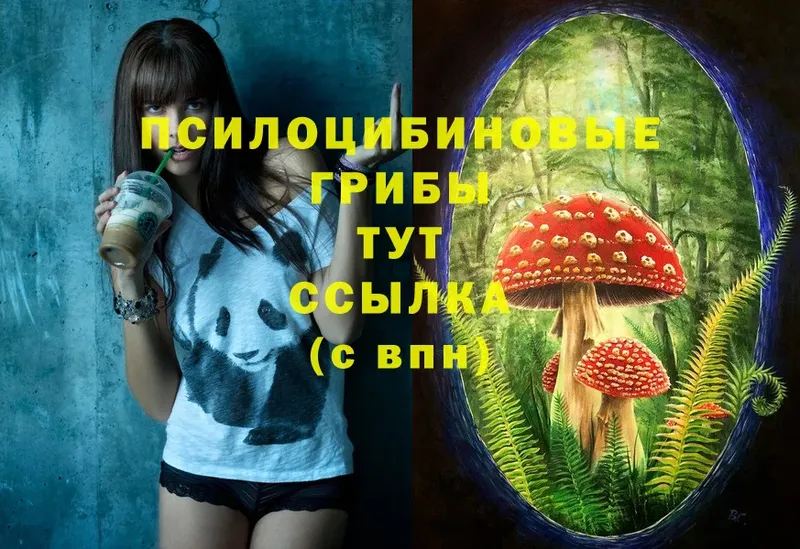 Псилоцибиновые грибы Magic Shrooms  Мичуринск 